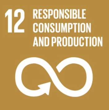 SDG 12 Responsible Consumption and Production